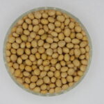 Variety